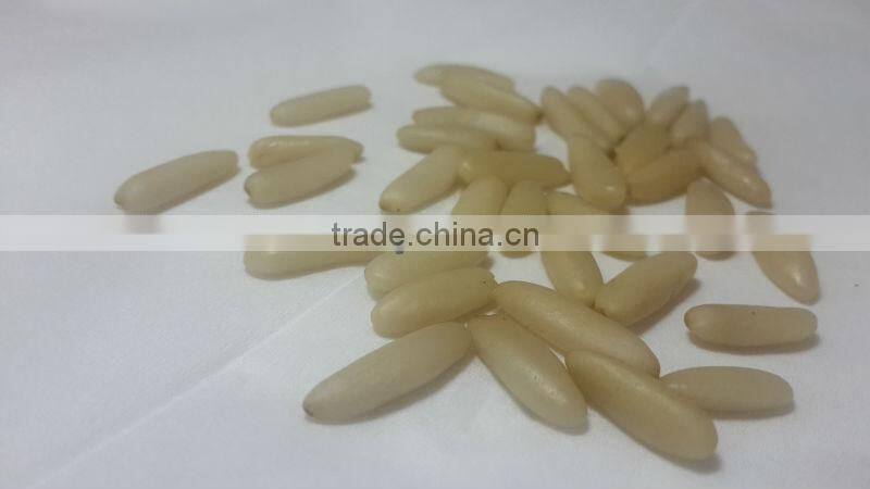 Pine Nuts Kernels