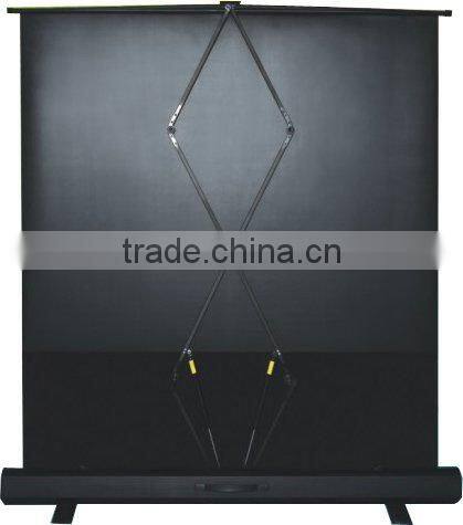 VICTORY portable pull-down floor screen