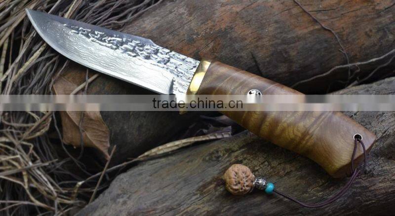 Doshower cutting knife with knife guard of knife sharpener