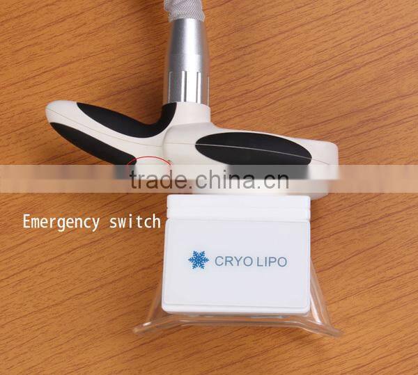New coming Lipo Ice fat cryolypolysis machine 3d lipo salon