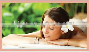 Medical CE Approved 540 Derma Roller DRS Derma Roller