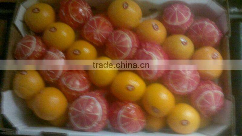 Golden Fresh Citrus Navel And Valencia ORANGE
