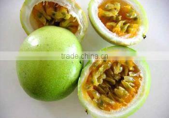 Bulk Supply Passiflora Incarnate Extract