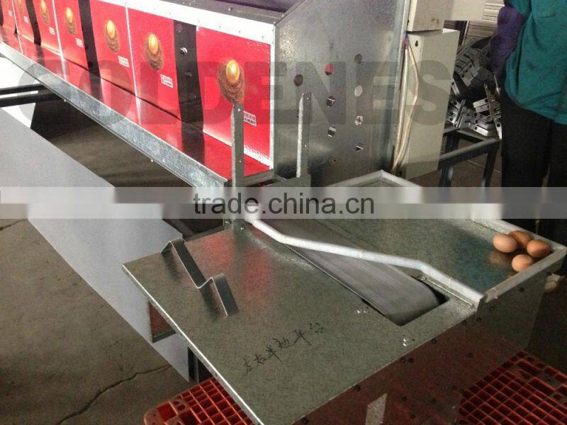 Goldenest Poultry equipment Cheap Price 24 Metal Chicken Nesting Laying Boxes For Hens House