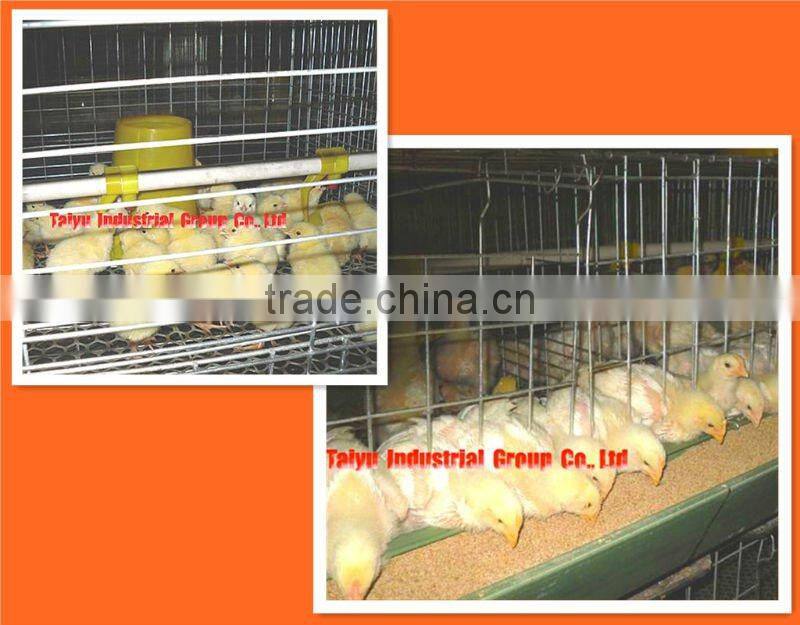 semi-automatic poultry cage system (egg laying birds,broilers,breeding chicken, day old chicken)
