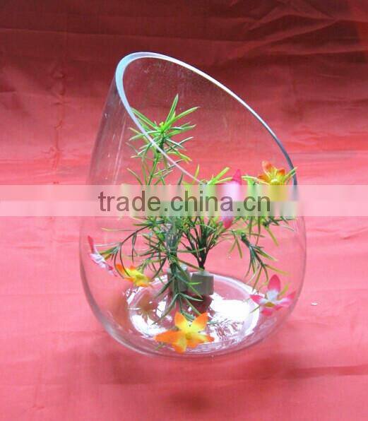 clear glass vase fish farm
