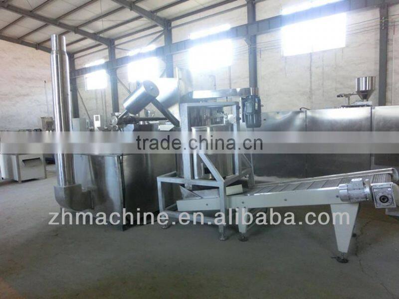 multi functional Automatic snack Fryer