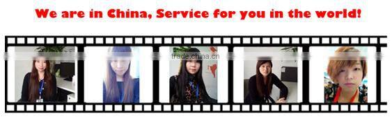 China Cheap cattle feed pelletizer machine