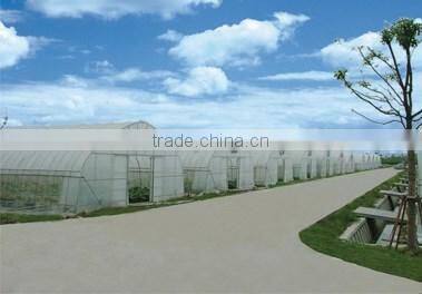 wholesale poly tunnel greenhouse for garden /agricola