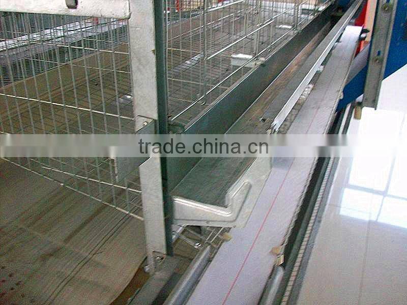 automatic feeding system for chicken breeding/automatic poultry farm equipment