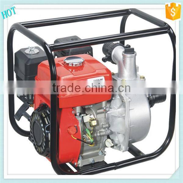 Agricultural & Garden use small Water Pump