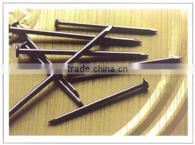 2013 Autumn Canton Fair 16.3H05high quality roofing nails with umbrella