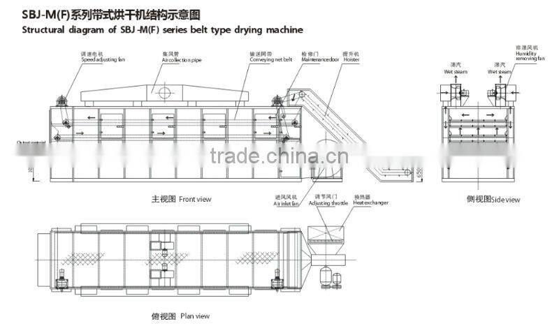 vegetable and fruit belt drying machine