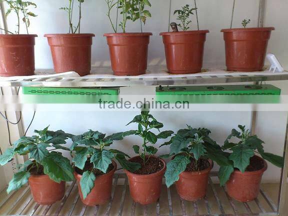 Medical Plants Growth 3W LED Panel Grow Light For Growers