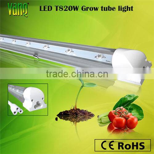 Full spectrum 150w COB led indoor grow lights for grow and flowers Vanq classical