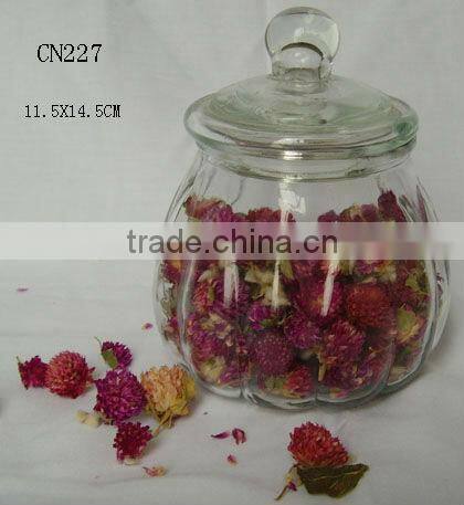 clear cylinder glass bell jar