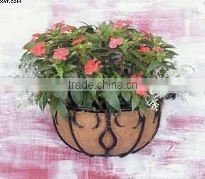 iron wall amounting garden planter(LMP_4047)