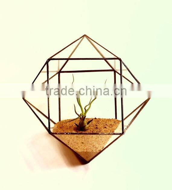 Minimalistic Decor Cuboctahedron Geometric Terrarium