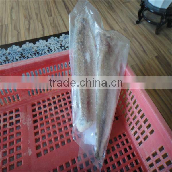 quality tuna fish frozen