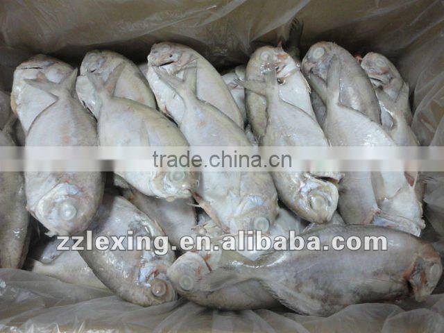 Frozen butterfish,IQF