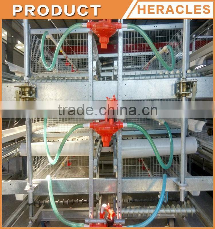 Trade Assurance automatic chicken broiler cage for sale