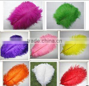 18-20cm Frozen Turquoise ostrich feather Wholesale