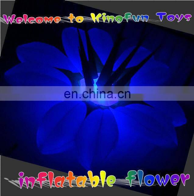 Carriage with Christmas decorations