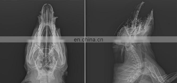 MY-W004A Newest Veterinary hospital equipment 200mA HF X-Ray Machine For Vet Use