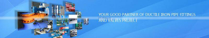 ISO 2531 Ductile Iron Pipe Fitting Double Flange