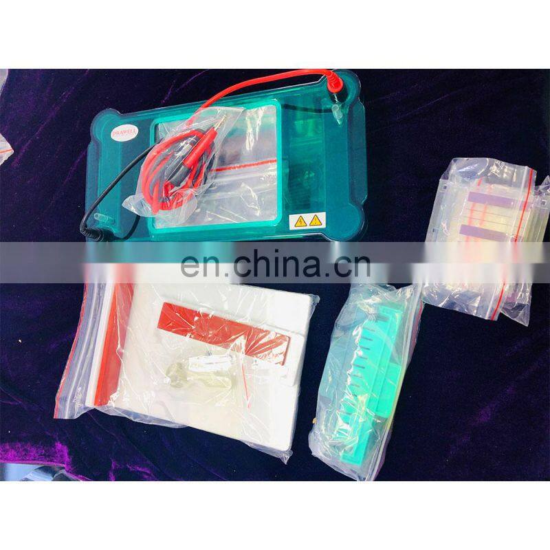 DW-SPFT Horizontal Gel Electrophoresis Machine