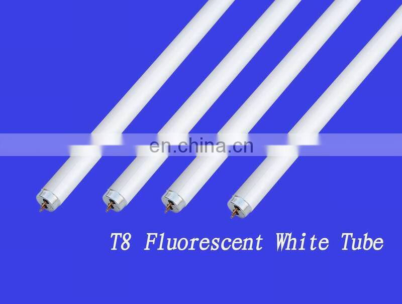 CIRCULAR T9 22W/32W FLUORESCENT LAMPS 8000H