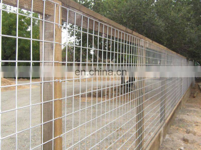 PVC powder coated 10 gauge galvanized welded wire mesh for chicken cage
