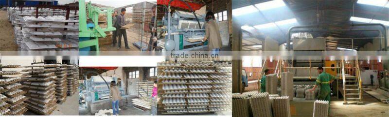 small egg tray machine factory