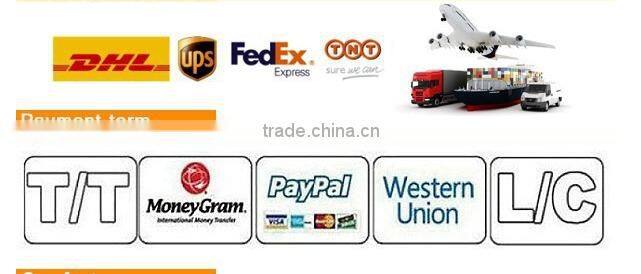 needlework accessory hand sewing needle