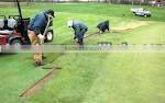 RELIABLE MANUFACTURE!garden tool artificial turf fix