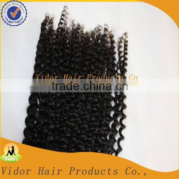 Unprocessed Virgin Brazilian Full Cuticle Afro Kinky Curly Clip On Hair Extension