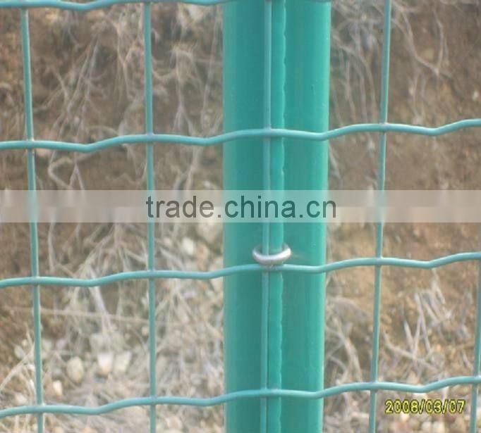 Euro Fence Mesh Rolls(Direct Factory)