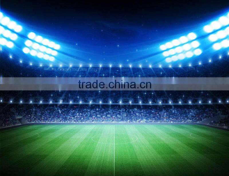 360 degree rotating 800W LED flood light for terminal Stadium dock lamp