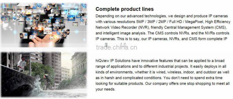 HIQ-5484 4-Megapixel Outdoor Vandal Proof Dome IP Camera