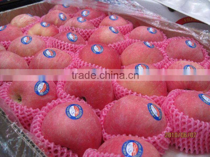 Chinese Exporter Fresh Red Fuji Apple Fruits Natural Growth Containing Vitamin C
