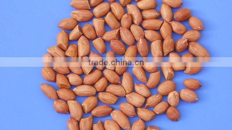 Raw Bold Peanut Kernels