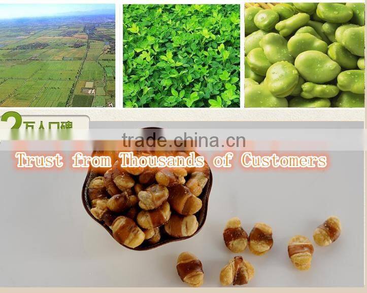 new premium food Salted Flavor Fried Broad Beans supplier Roasted Broad Bean Chips