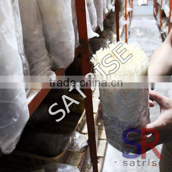 Mushroom Growing Equipment Plastic basket bag Tray