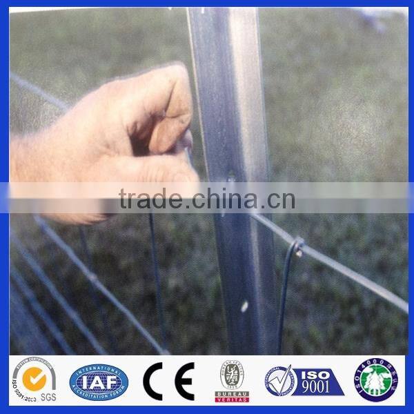 Good quality hot dipped galvanized grip lock wire mesh for farm
