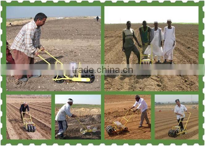 Vegetable precision mini seed planter