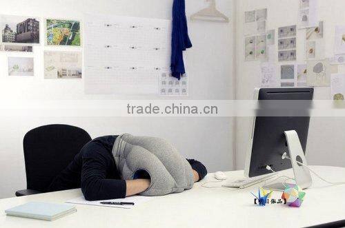 Magical Ostrich Pillow
