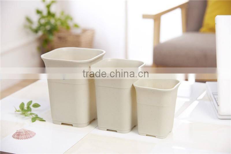 Plastic Tall Fleshiness Square Flower Pot