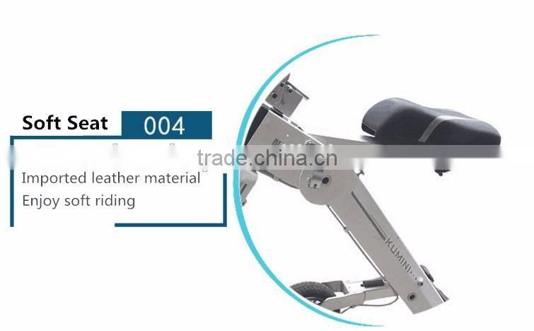 2017 Newest Light Riding Fold Electric Bicycle, Mini Adult Shock Absorb Electro Bike 250W Motorbike For Sale