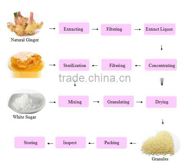 Kosher passed Ginger tea powder / Lemon Ginger Tea drinks/ginger extract powder