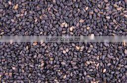 Sesame cleaning and grading machine|Sesame cleaner and grader|Sesam processing machine